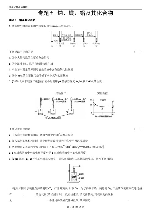 高考化学考点导航 专题五   钠、镁、铝及其化合物(新高考 含答案)