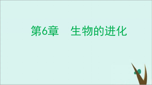 《生物有共同祖先的证据》人教版优秀课件1