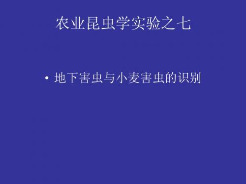 农业昆虫学实验-7-8