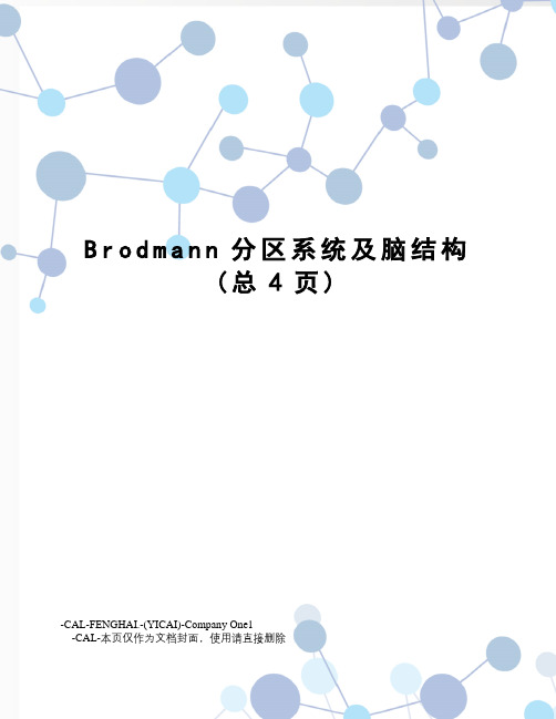 Brodmann分区系统及脑结构