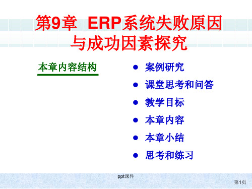 ch09 ERP系统成功和失败分析  ppt课件