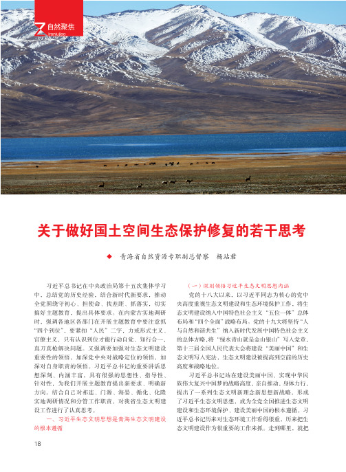 关于做好国土空间生态保护修复的若干思考