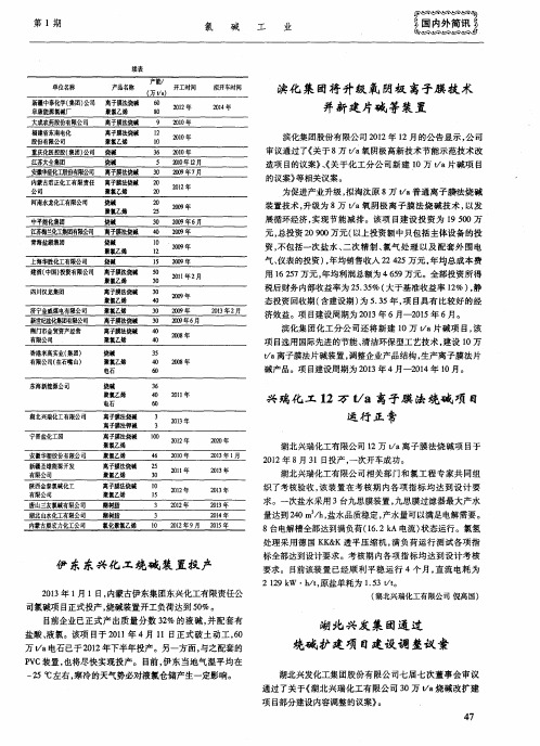 滨化集团将升级氧阴极离子膜技术并新建片碱等装置