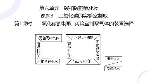 【课件】二氧化碳的实验室制取(第1课时)课件--九年级化学人教版(2024)上册