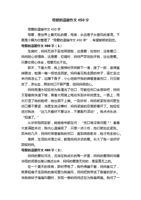 母爱的温暖作文450字