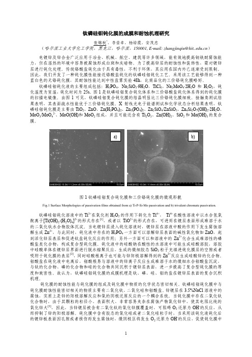 钛磷硅钼钝化膜的成膜和耐蚀机理研究