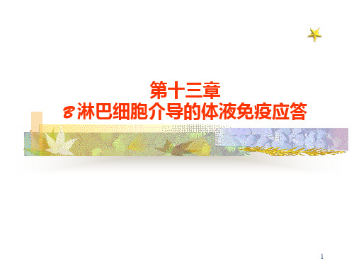 B 淋巴细胞介导的体液免疫应答