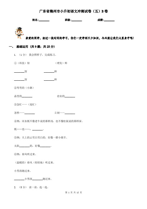 广东省梅州市小升初语文冲刺试卷(五)B卷