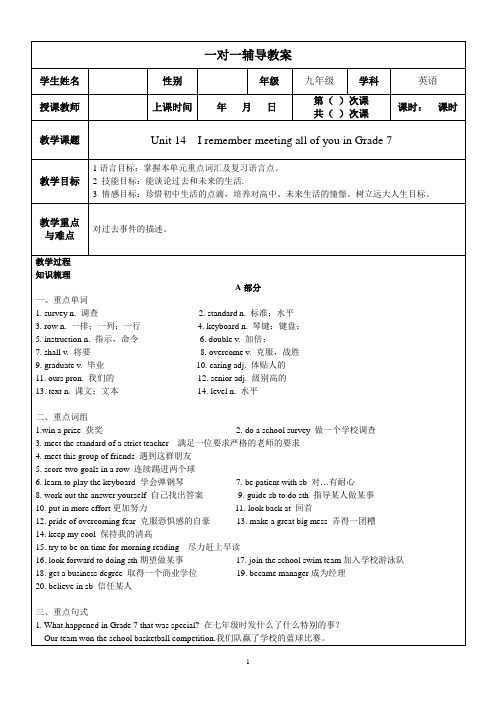 人教版九年级英语全一册第十四单元Unit14教案