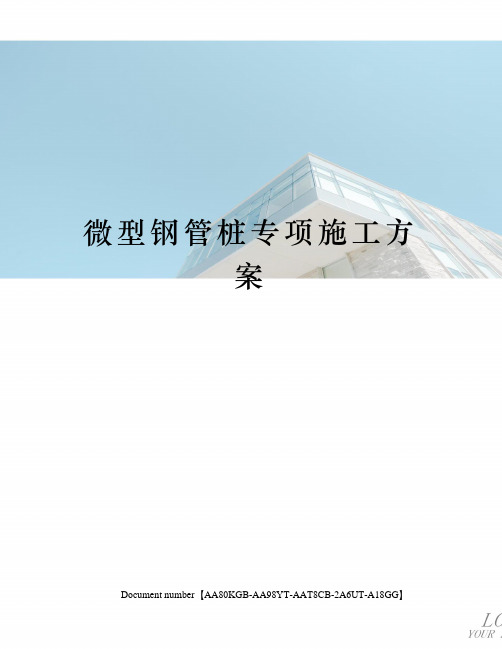 微型钢管桩专项施工方案修订稿