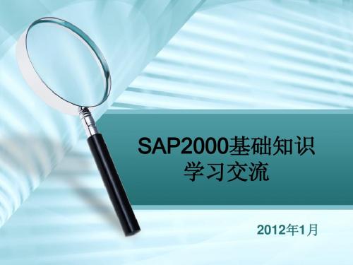 sap2000学习交流