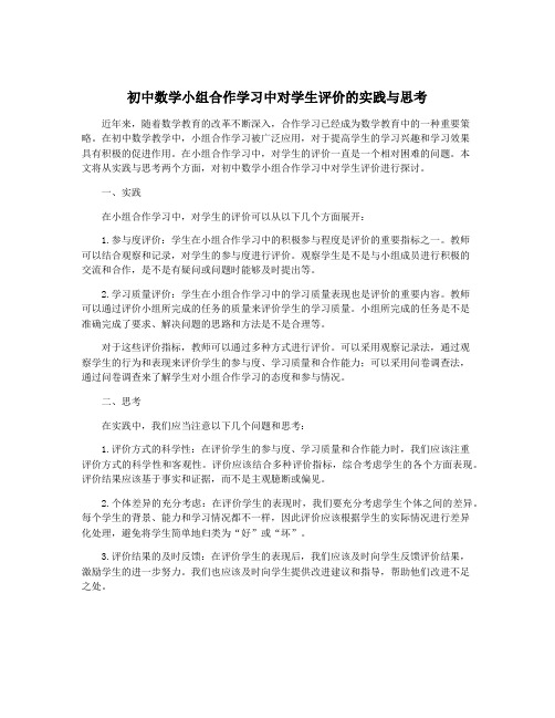 初中数学小组合作学习中对学生评价的实践与思考