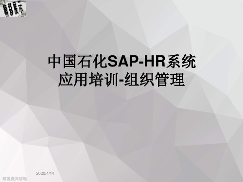 中国石化SAP-HR系统应用培训-组织管理