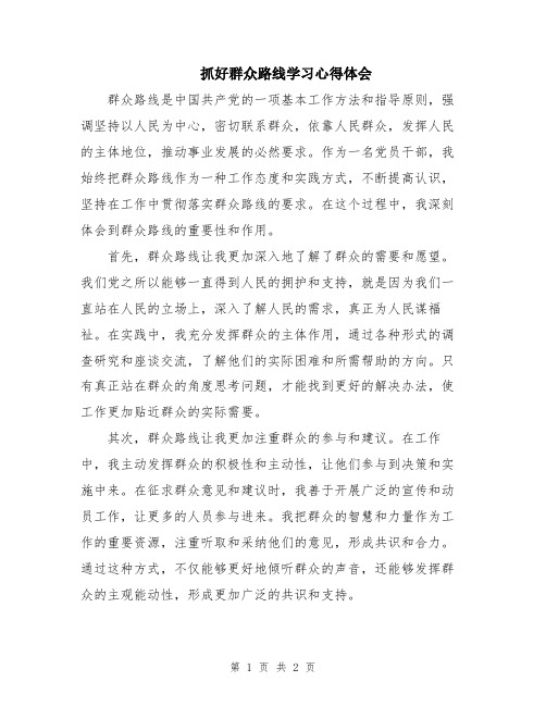 抓好群众路线学习心得体会