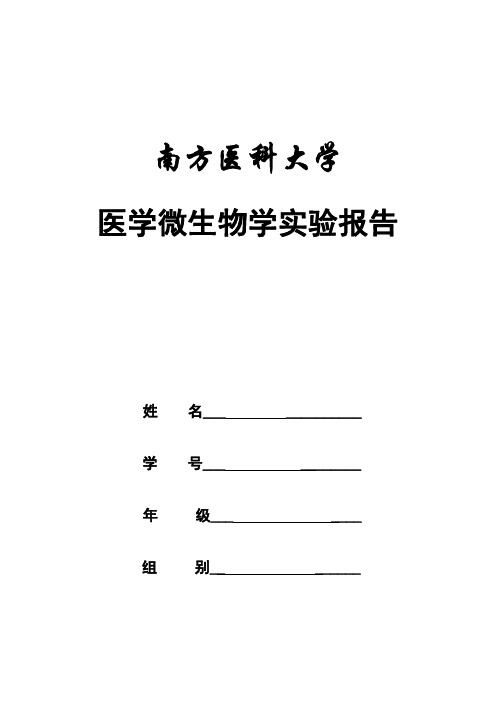 脓汁和粪便标本中病原菌的检测实验报告模板一