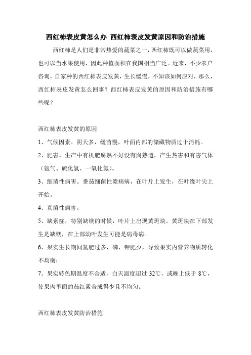 西红柿表皮黄怎么办 西红柿表皮发黄原因和防治措施.doc