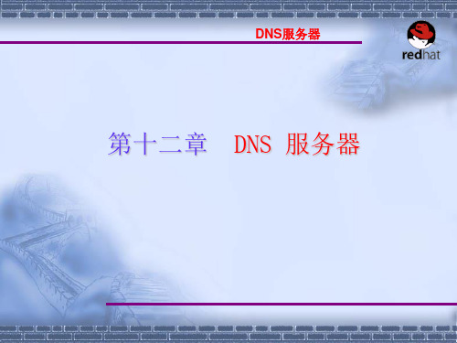 Linux操作系统案例教程电子教案 第12章 DNS 服务器