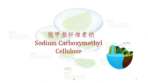 羧甲基纤维素钠(CMC)的结构与在牙膏中的应用