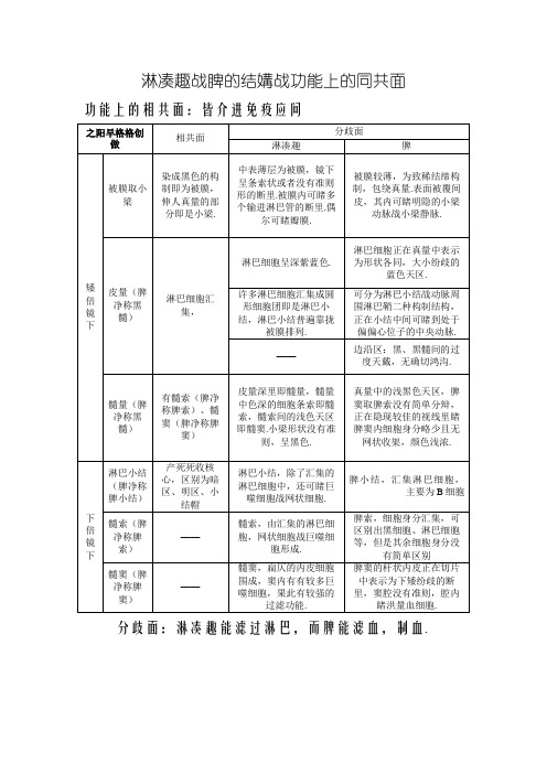 淋巴结和脾的结构和功能上的异同点