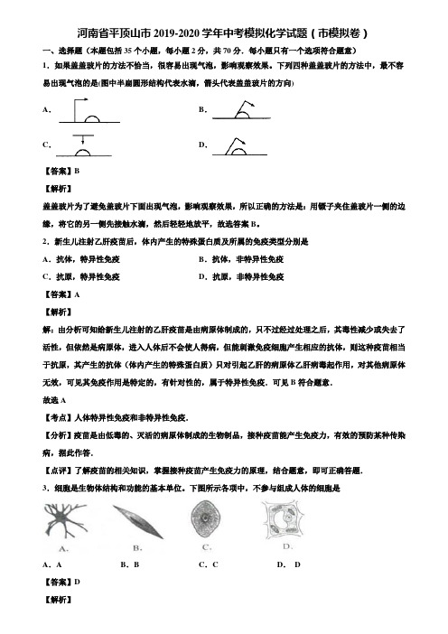 河南省平顶山市2019-2020学年中考模拟化学试题(市模拟卷)含解析