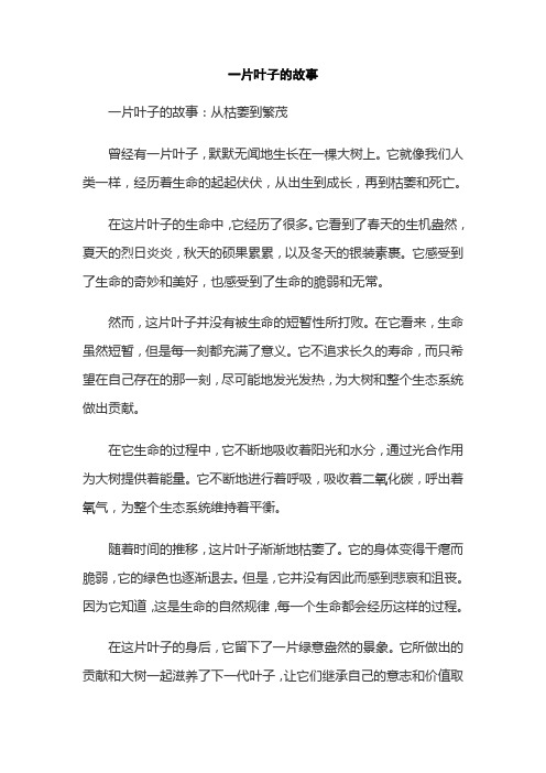 一片叶子的故事