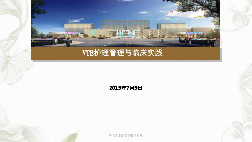 VTE护理管理与临床实践ppt课件