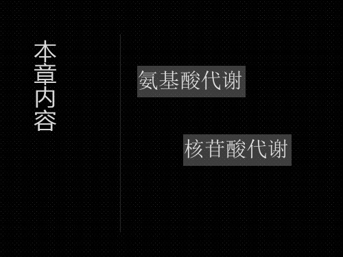 第十章氨基酸和核苷酸代谢