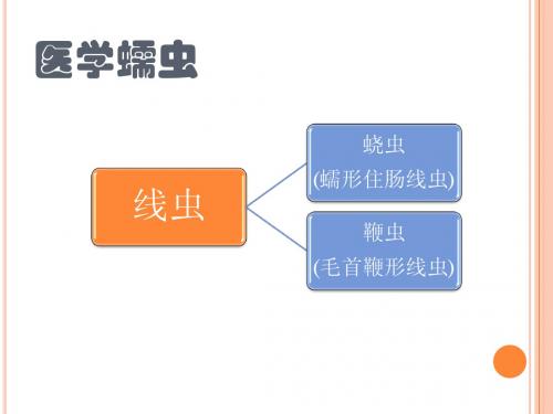 医学蠕虫