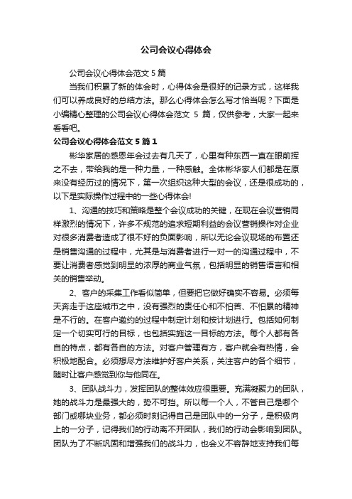 公司会议心得体会范文5篇