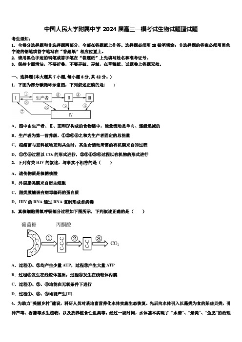 中国人民大学附属中学2024届高三一模考试生物试题理试题含解析