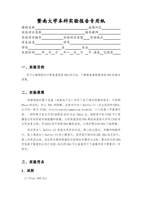 暨南大学专用实验报告纸