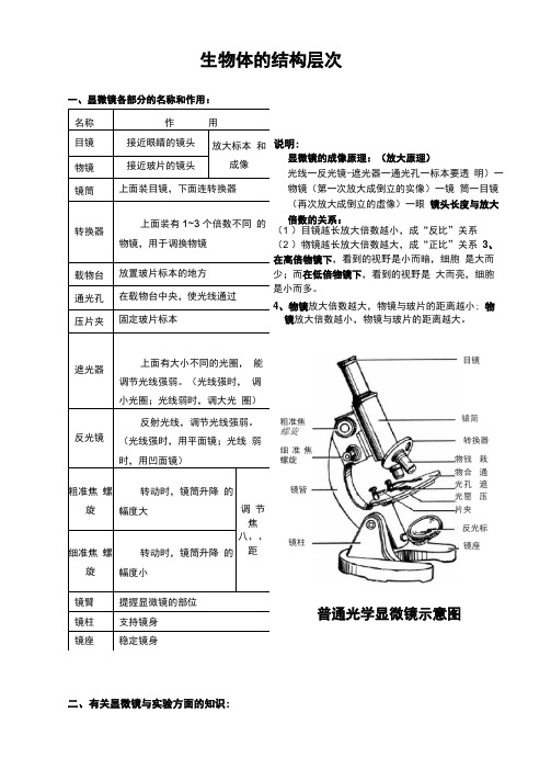 【浙教版】七年级-科学-上册-生物体的结构层次-知识点