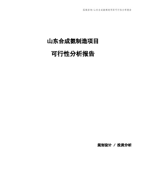 山东合成氨制造项目可行性分析报告