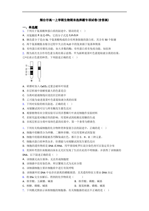 烟台市高一上学期生物期末选择题专项试卷(含答案)