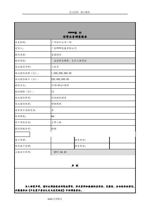 某能源发展公司银行授信调查报告