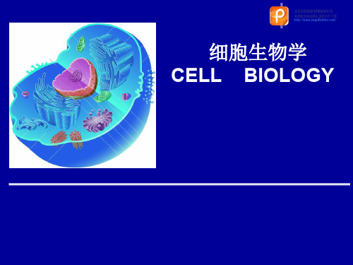 细胞生物学:第1章 绪论