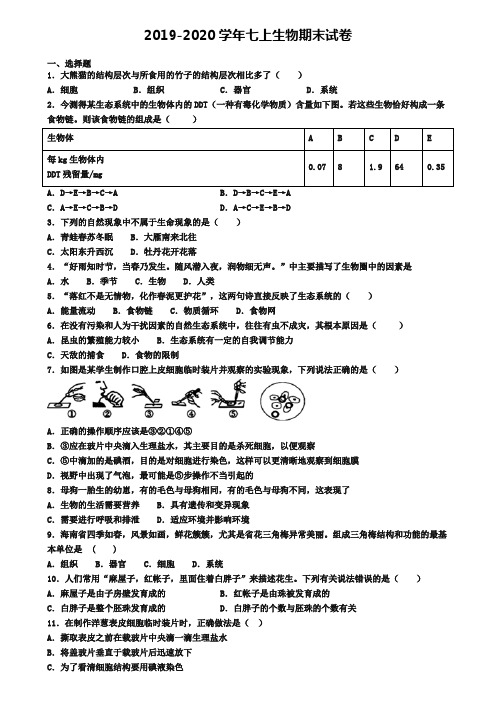 (4份试卷汇总)2019-2020学年邢台市生物七年级(上)期末考试模拟试题