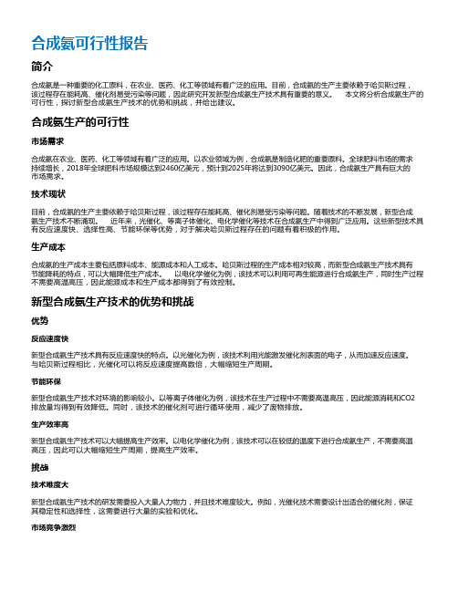 合成氨可行性报告