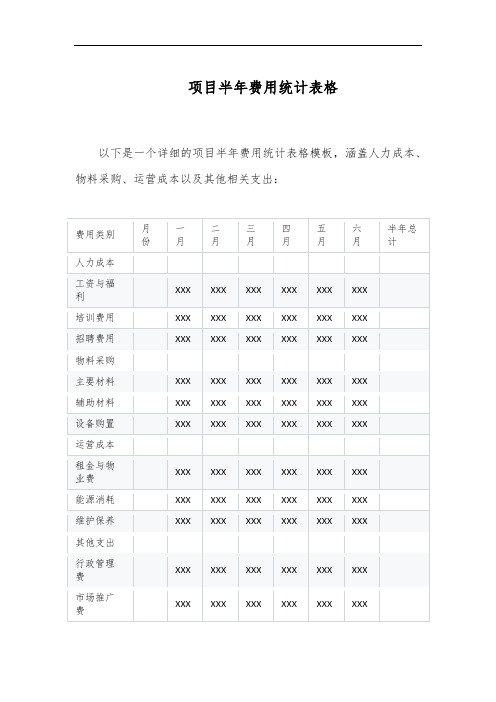 项目半年费用统计表格