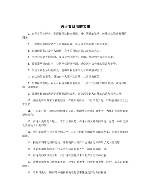 关于看日出的文案