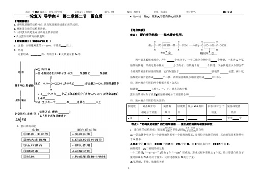 一轮复习 导学案4  蛋白质  打印版