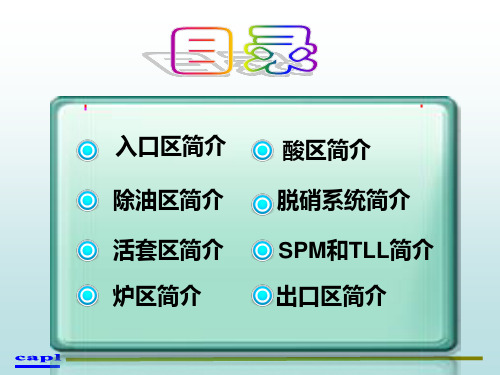 冷轧退火酸洗线PPT资料24页