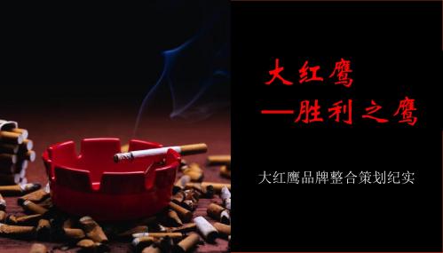 大红鹰品牌整合的的策划-PPT文档资料