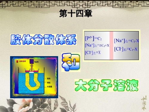 14胶体分散系统和大分子溶液