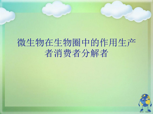 微生物在生物圈中的作用生产者消费者分解者