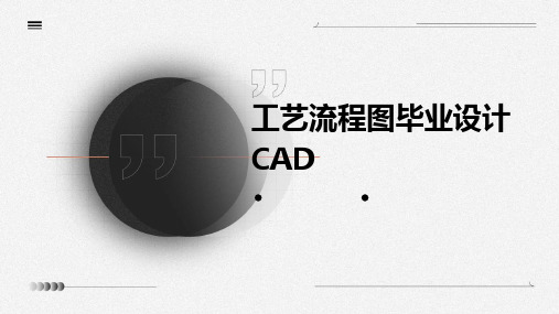 工艺流程图毕业设计cad