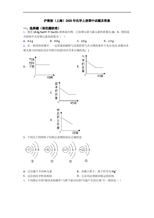 沪教版(上海)2020年初三化学上册期中试题及答案