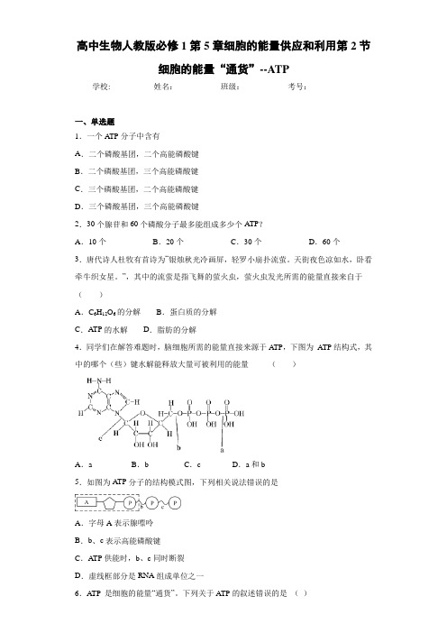 高中生物人教版必修1第5章细胞的能量供应和利用第2节细胞的能量“通货”--ATP