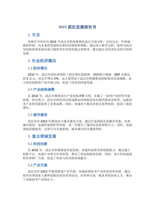 2023武汉发展报告书