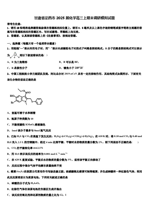 甘肃省定西市2025届化学高三上期末调研模拟试题含解析